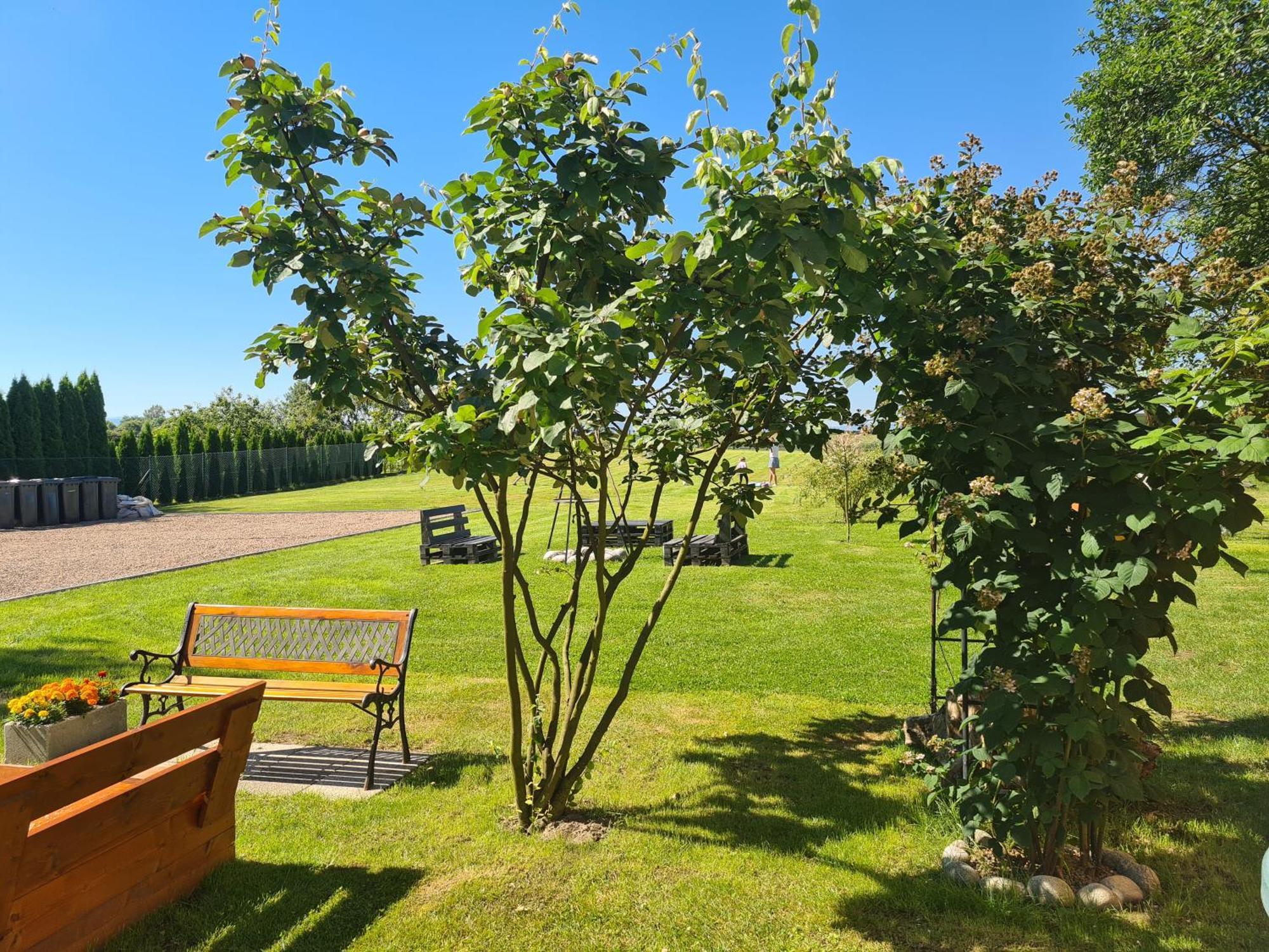 Lawendowy Domek Boutique Resort, Zator, Przeciszow 외부 사진
